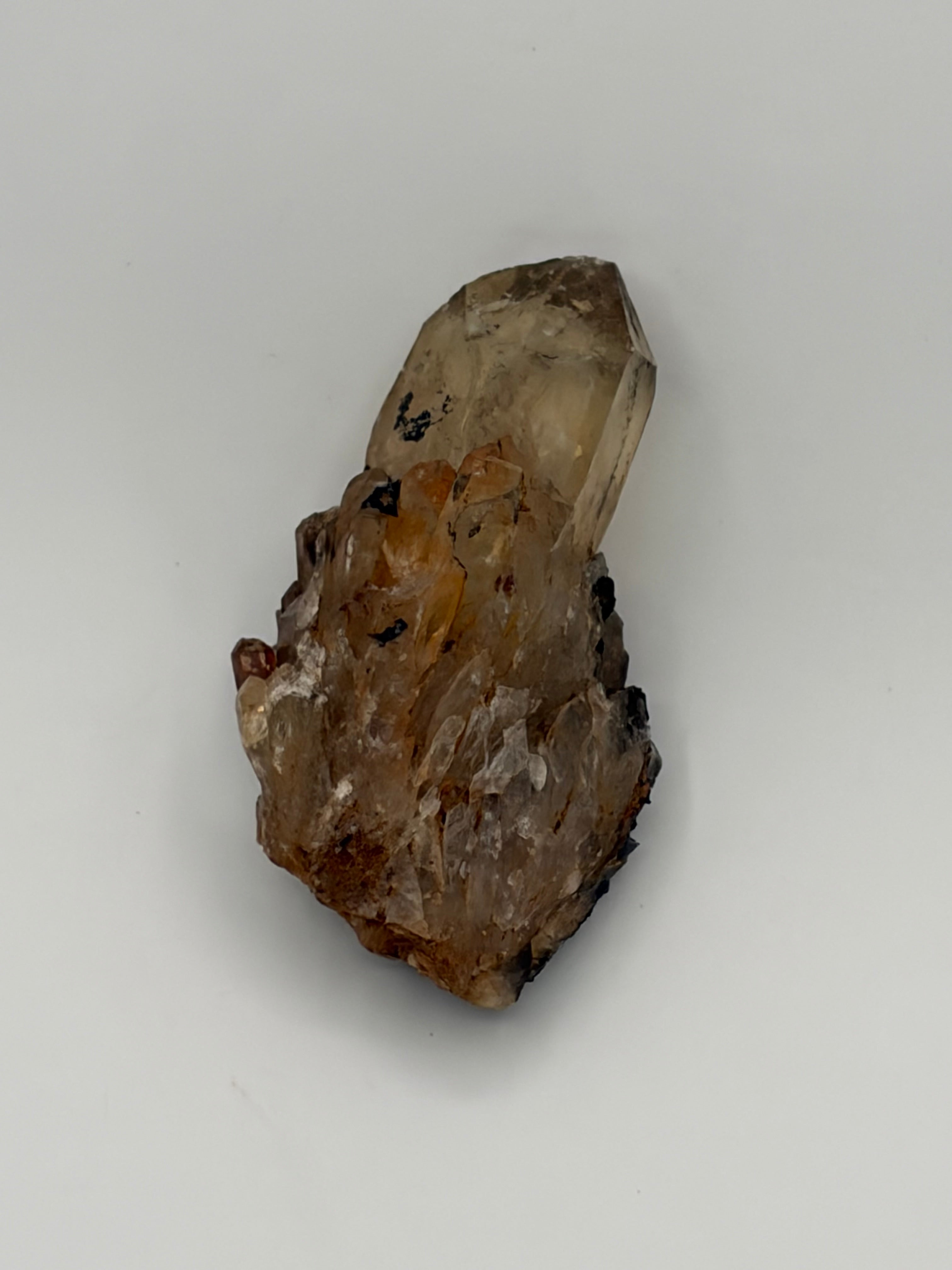 Authentic Kundalini Citrine Specimen D222 “Arion”