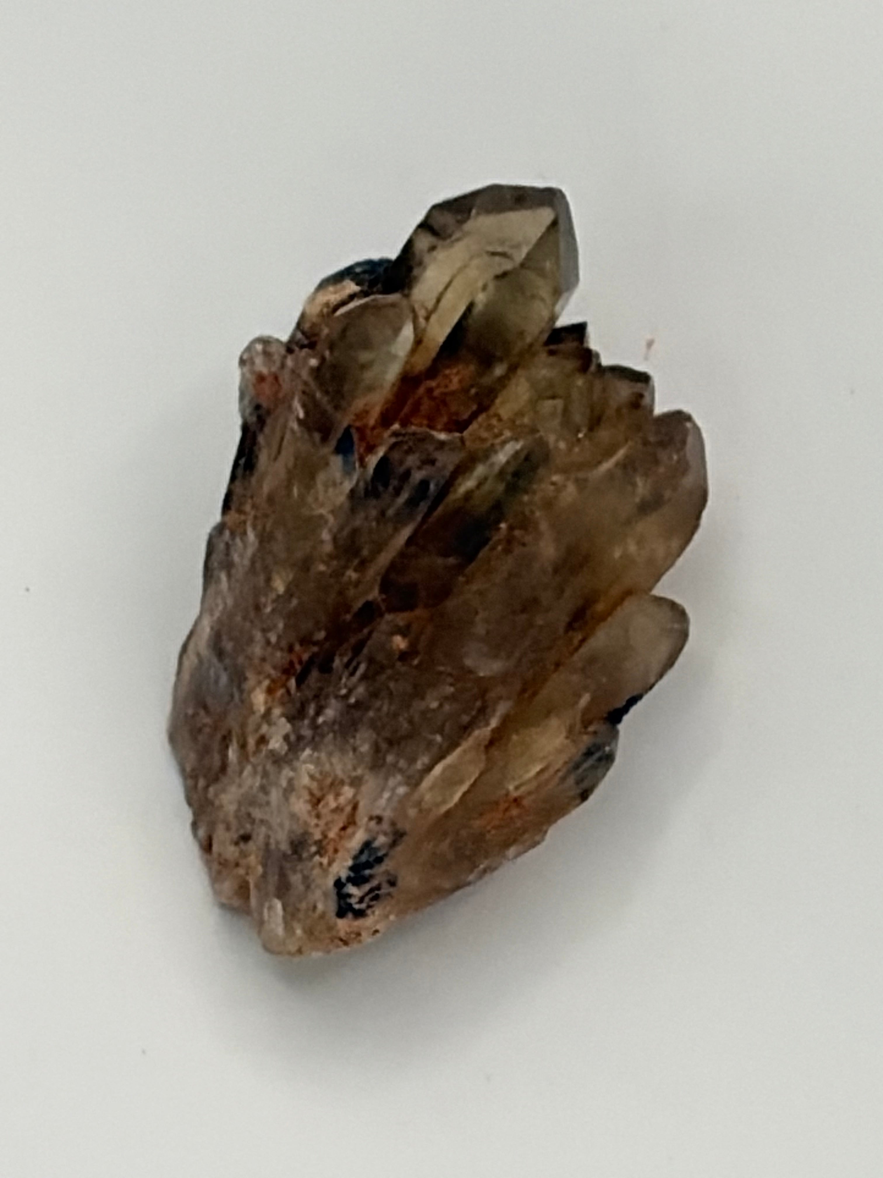 Authentic Kundalini Citrine Specimen D213 “Kelby”