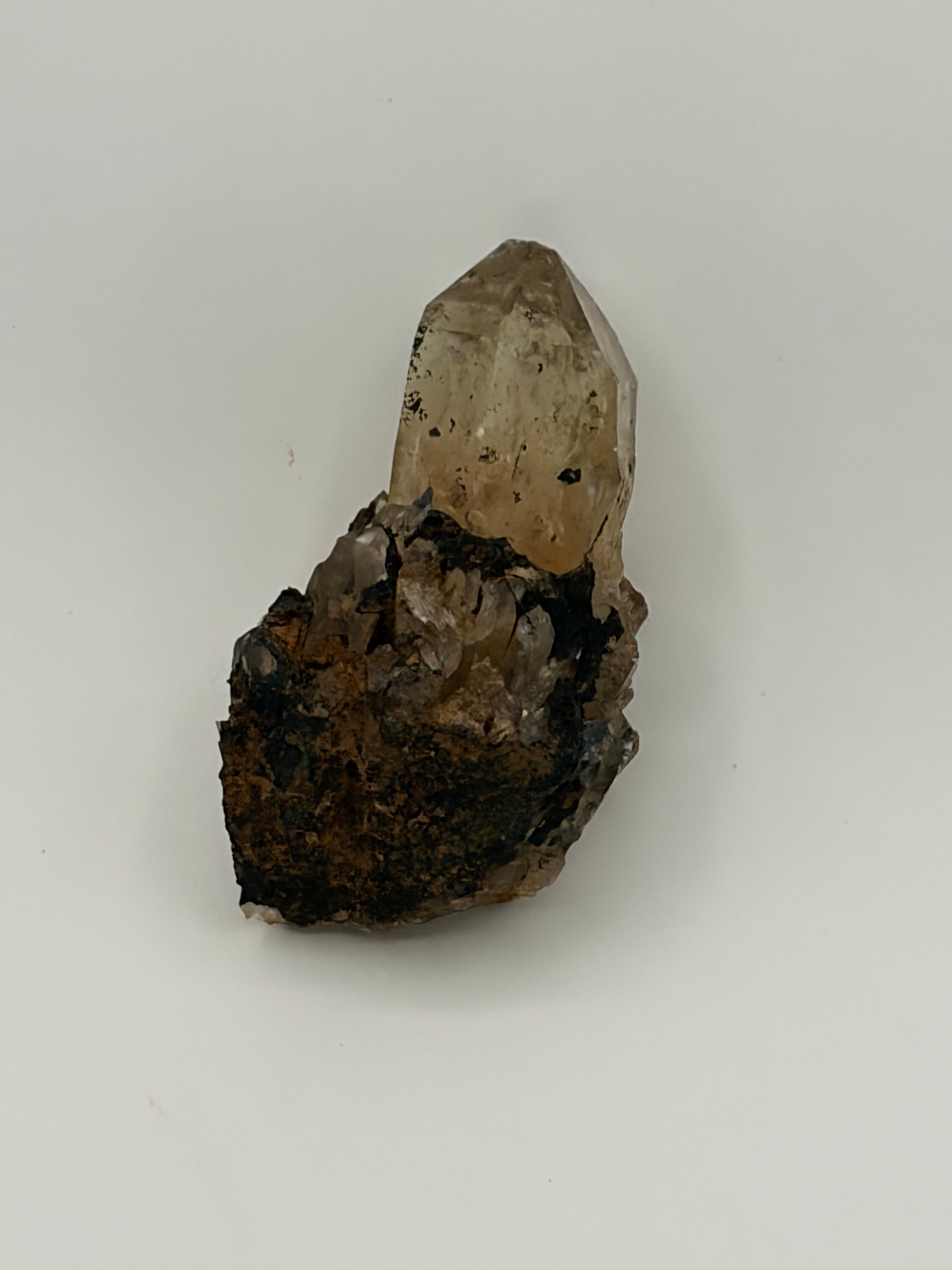 Authentic Kundalini Citrine Specimen D222 “Arion”