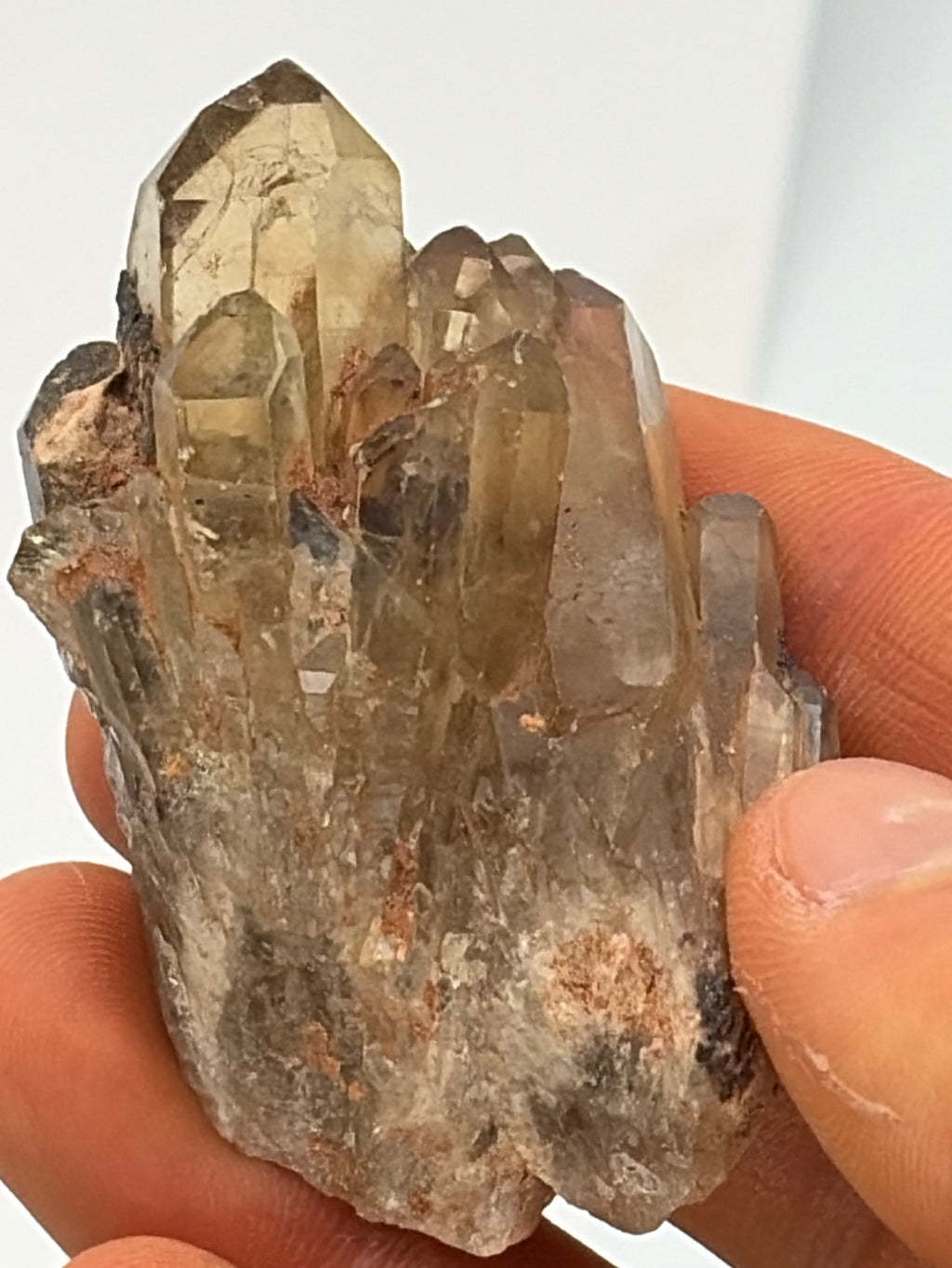 Authentic Kundalini Citrine Specimen D213 “Kelby”