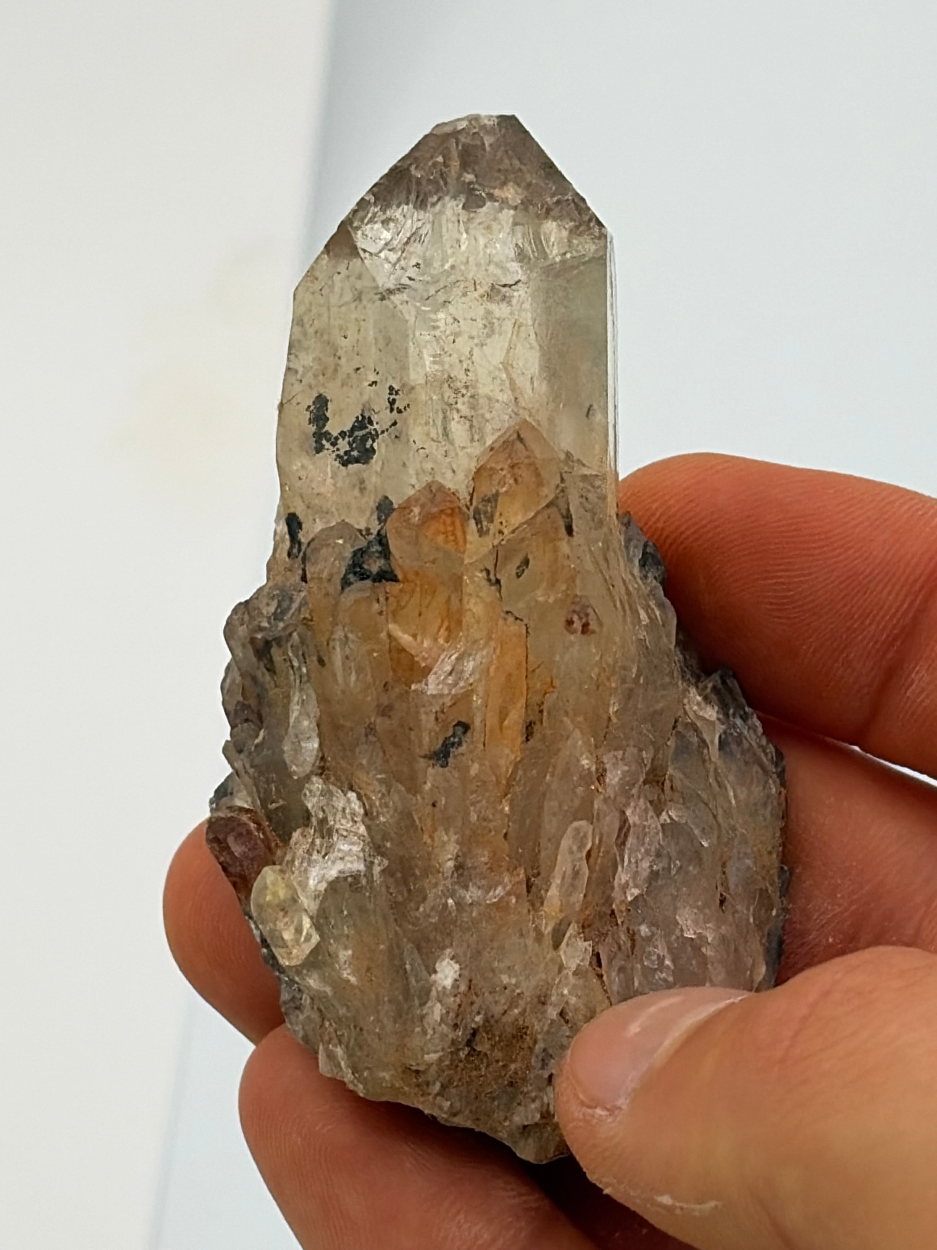 Authentic Kundalini Citrine Specimen D222 “Arion”