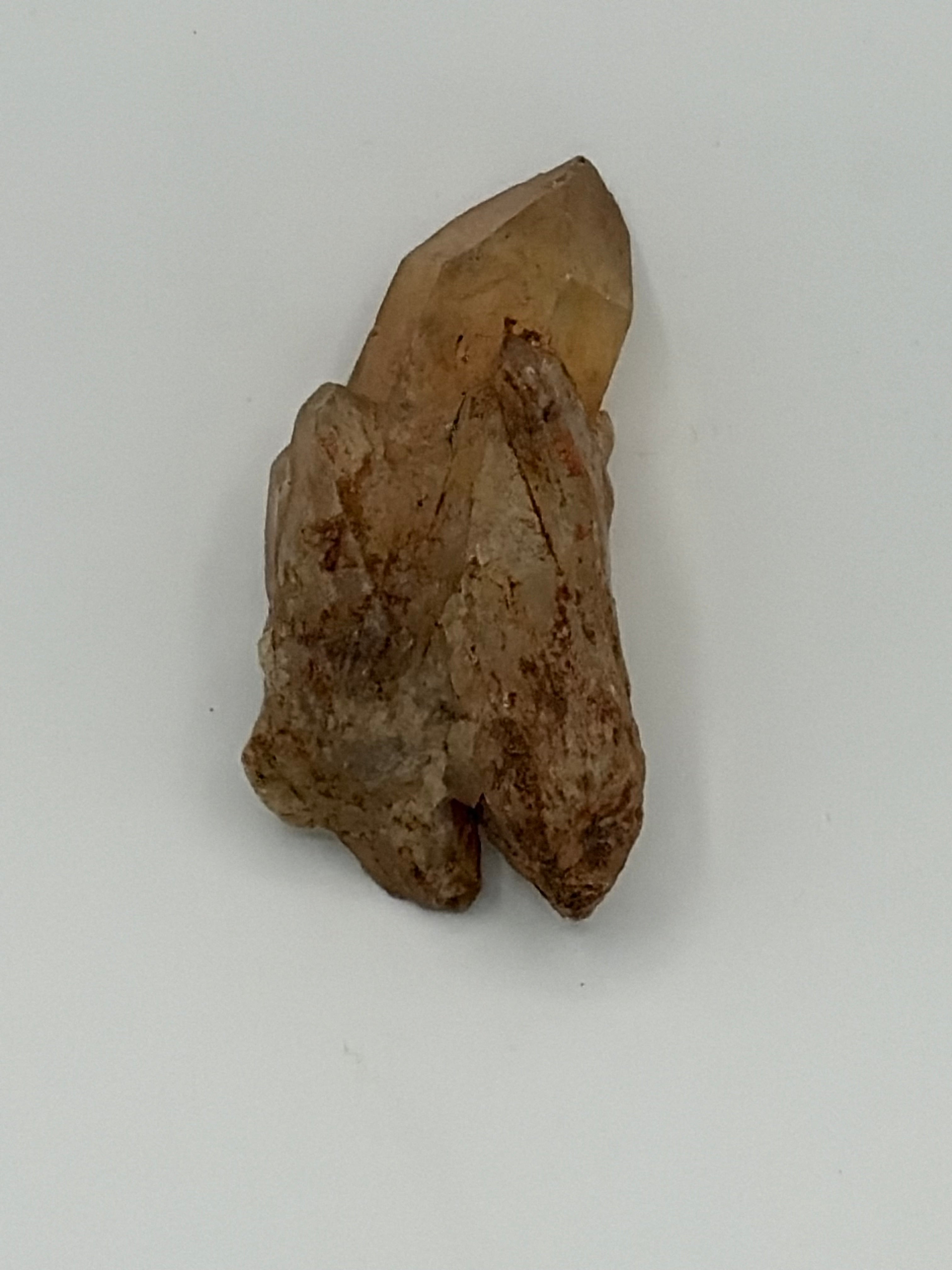 Authentic Kundalini Citrine Specimen D22 “Leopard”