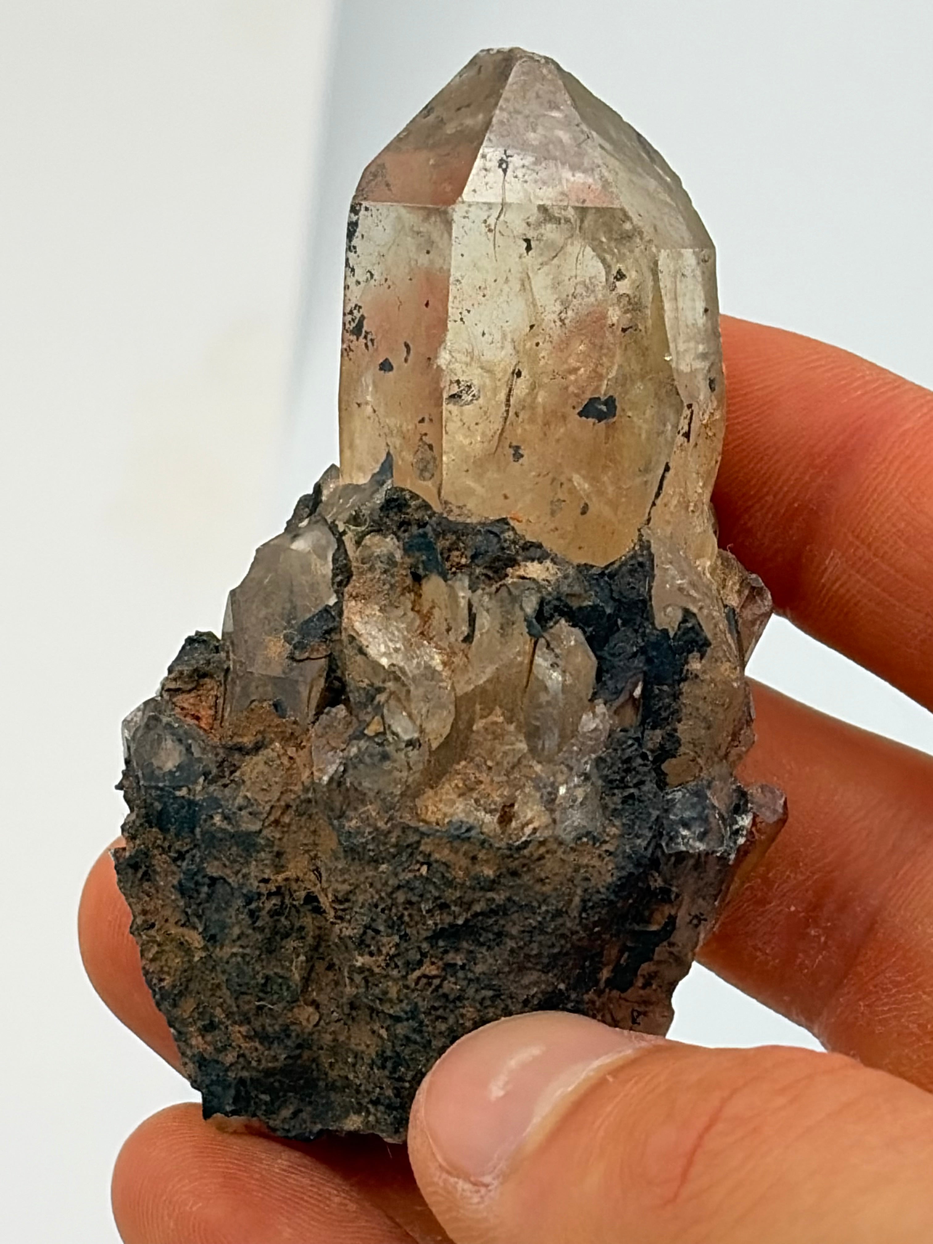 Authentic Kundalini Citrine Specimen D222 “Arion”