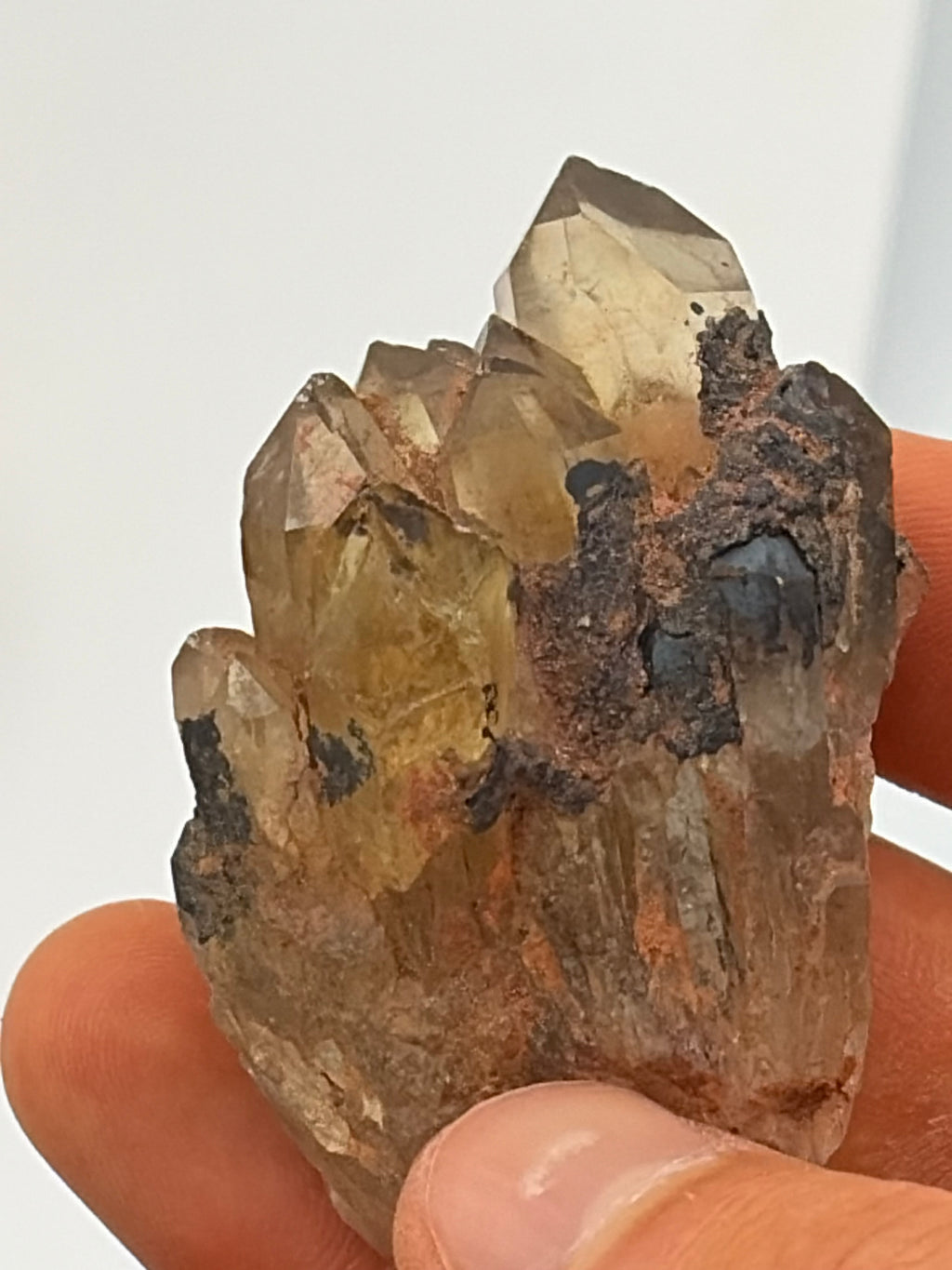 Authentic Kundalini Citrine Specimen D213 “Kelby”