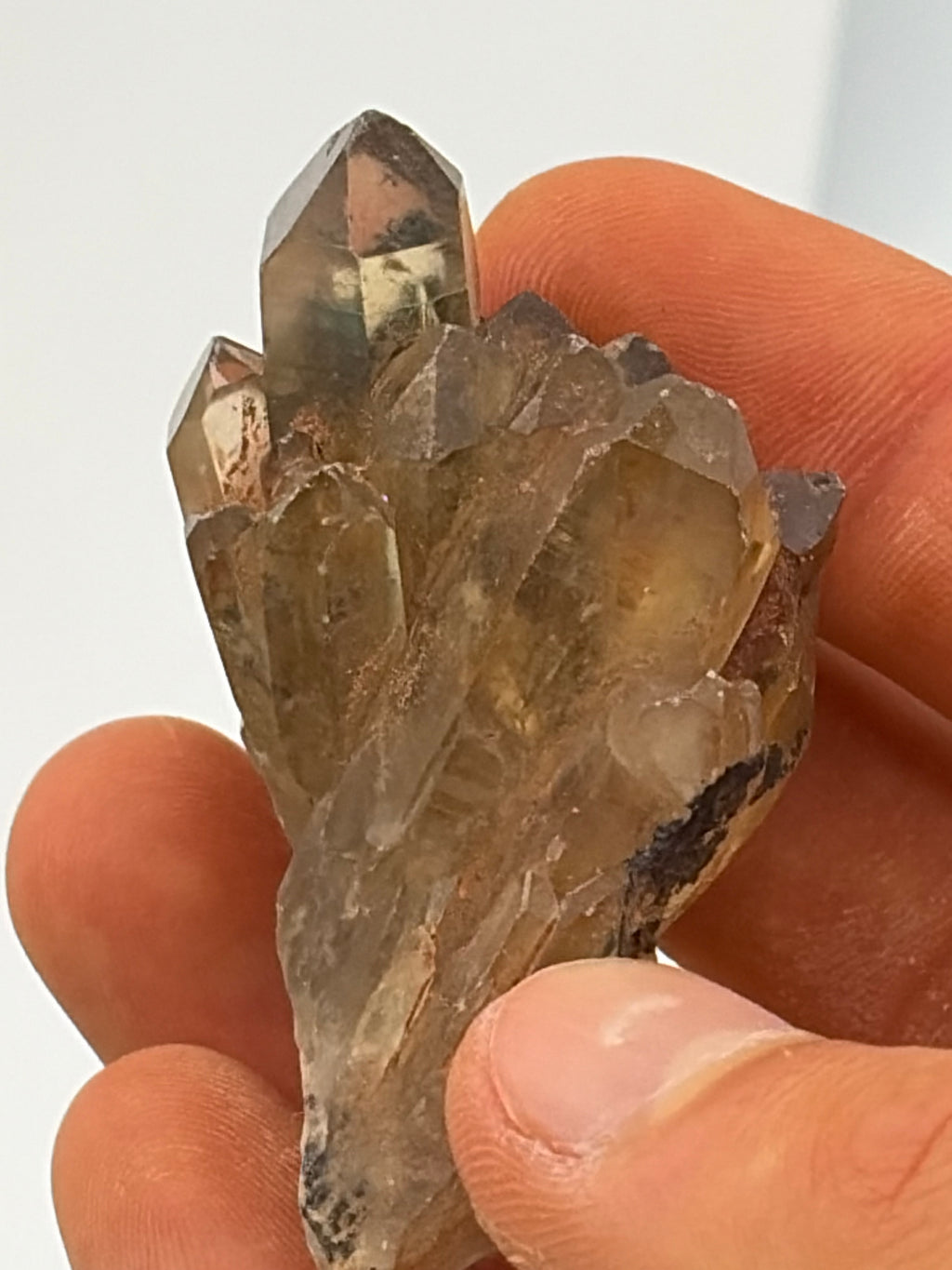 Authentic Kundalini Citrine Specimen D213 “Kelby”
