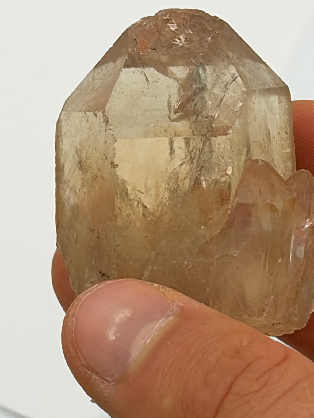 Authentic Kundalini Citrine Specimen D212 “Alex”
