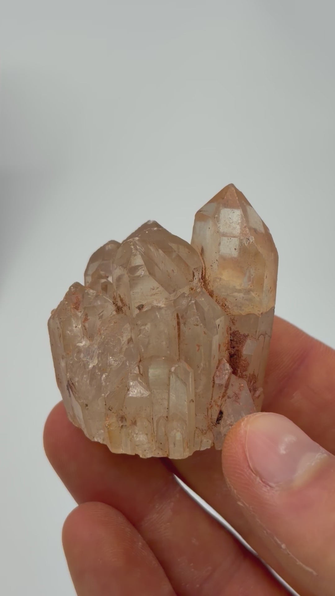 Authentic Kundalini Citrine Specimen D214 “Andromeda”