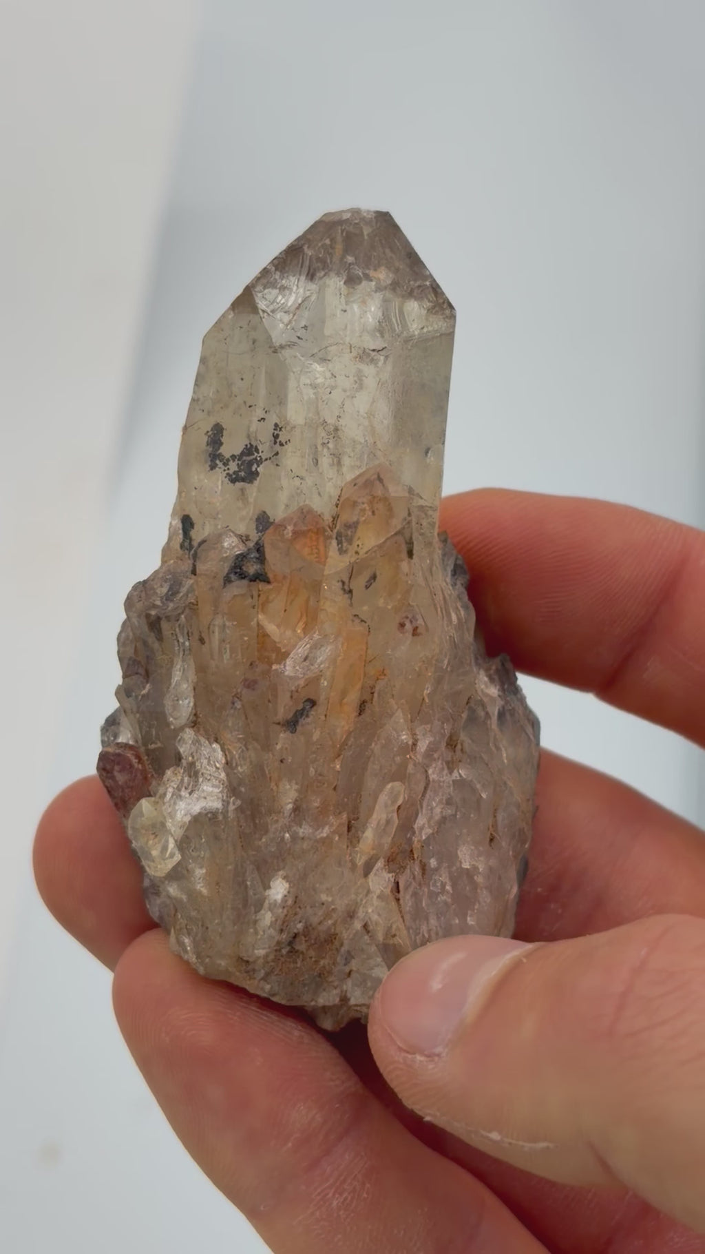 Authentic Kundalini Citrine Specimen D222 “Arion”